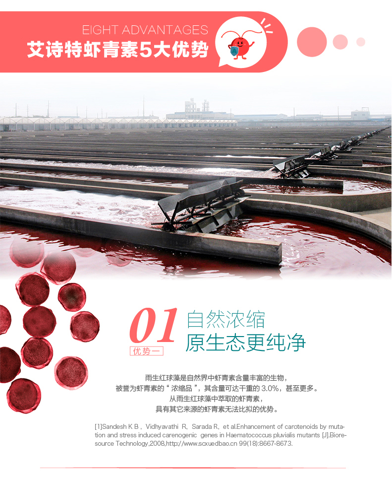 艾诗特南宫电子官网