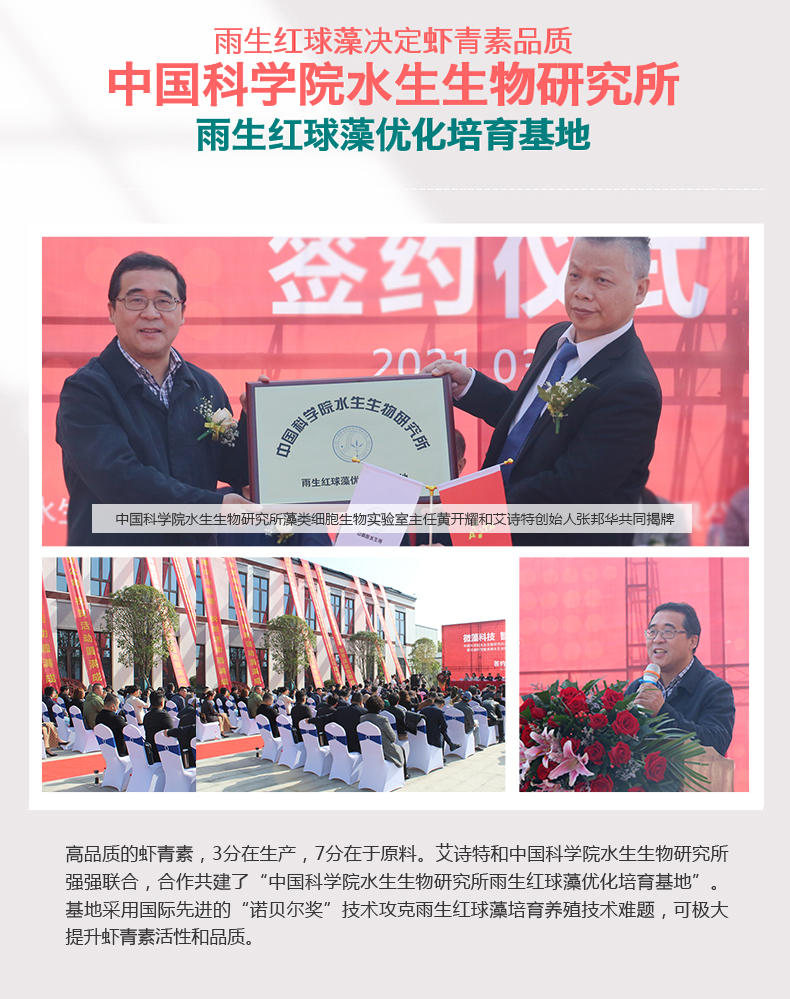 艾诗特南宫电子官网