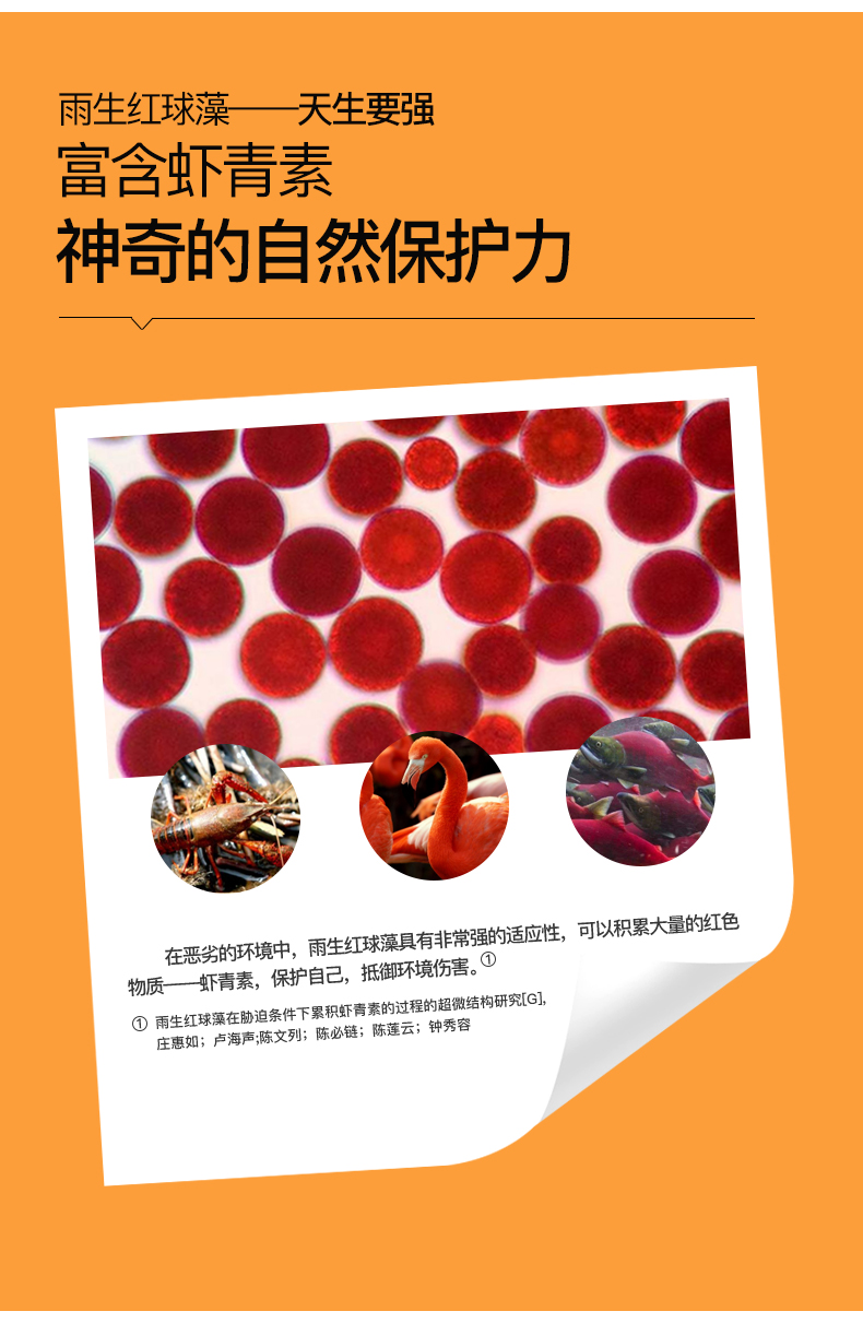 艾诗特南宫电子官网