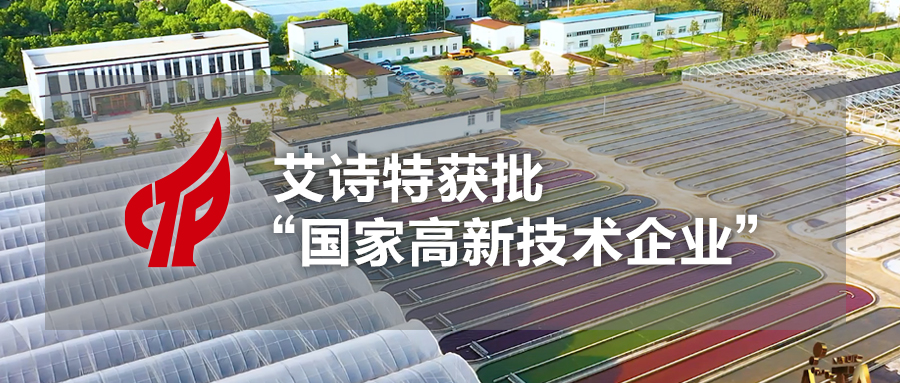 艾诗特南宫电子官网