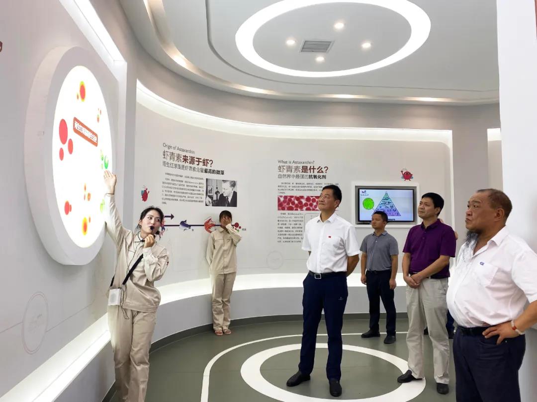 艾诗特南宫电子官网