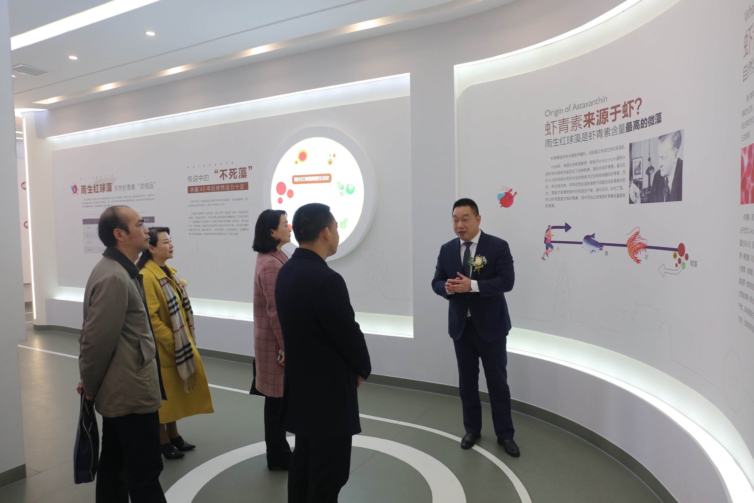 艾诗特南宫电子官网