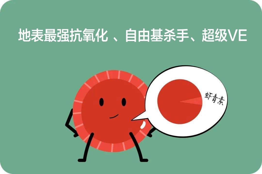 艾诗特南宫电子官网