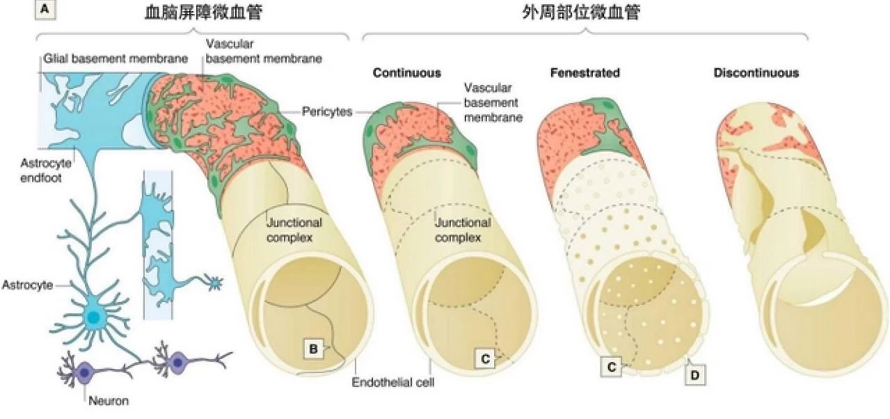 艾诗特南宫电子官网