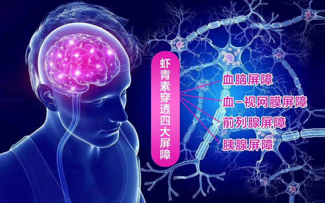 艾诗特南宫电子官网