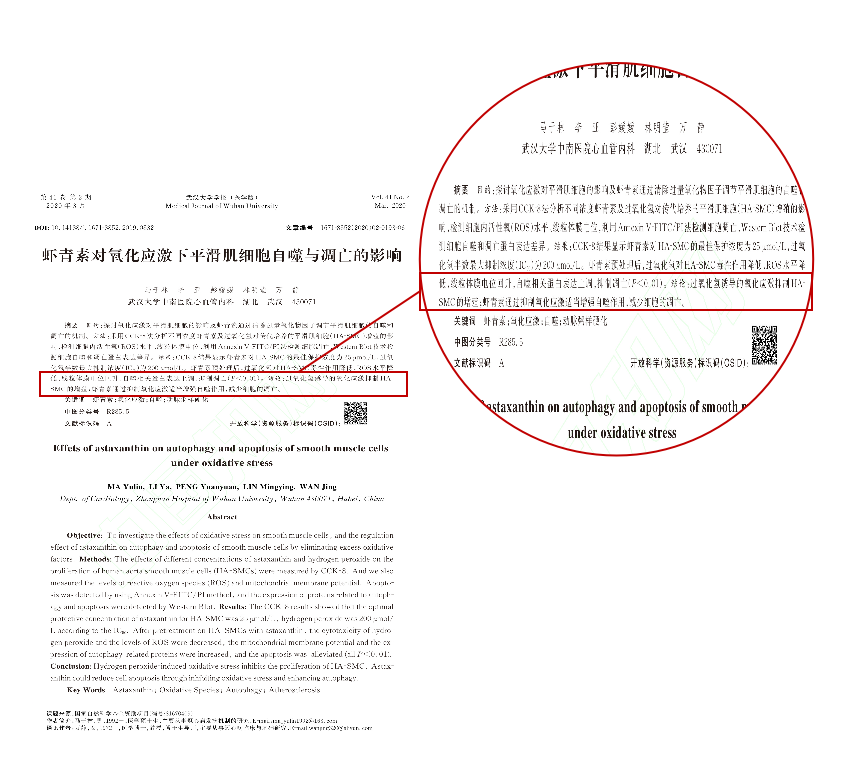 艾诗特南宫电子官网