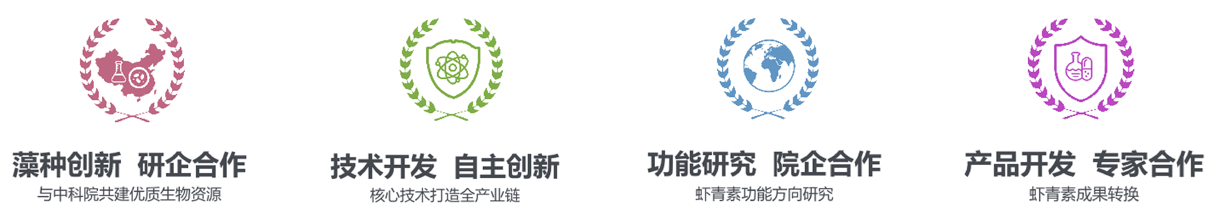 艾诗特南宫电子官网