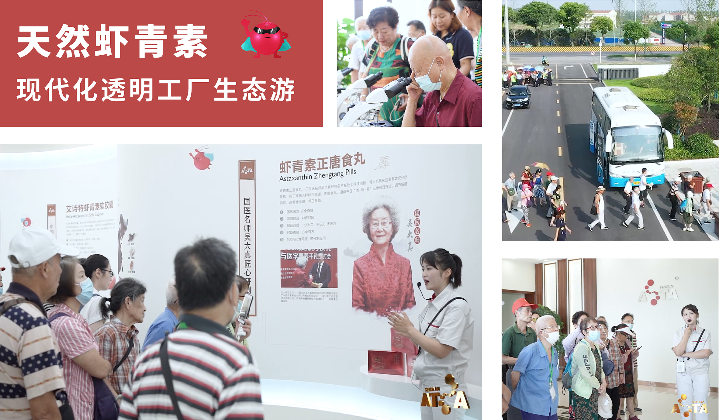 艾诗特南宫电子官网