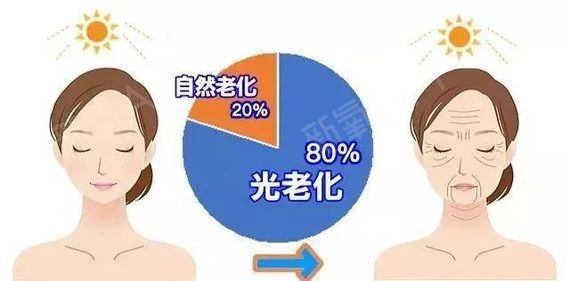 艾诗特南宫电子官网