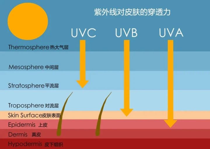 艾诗特南宫电子官网