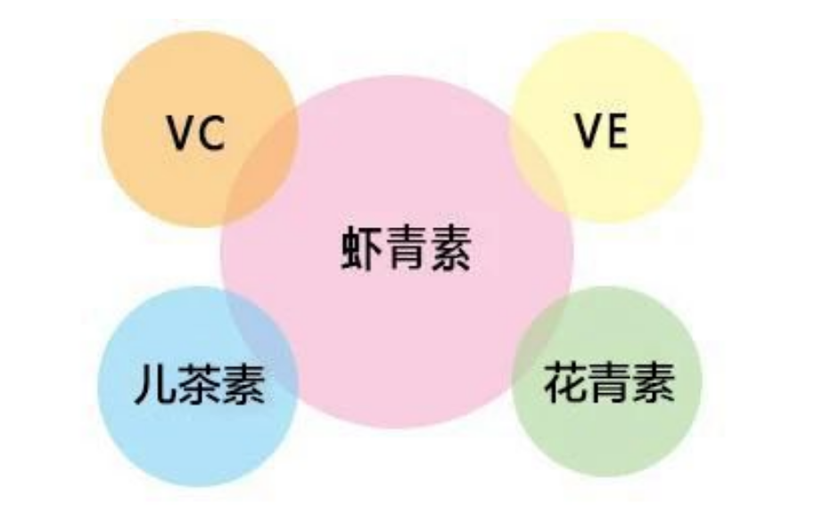 艾诗特南宫电子官网