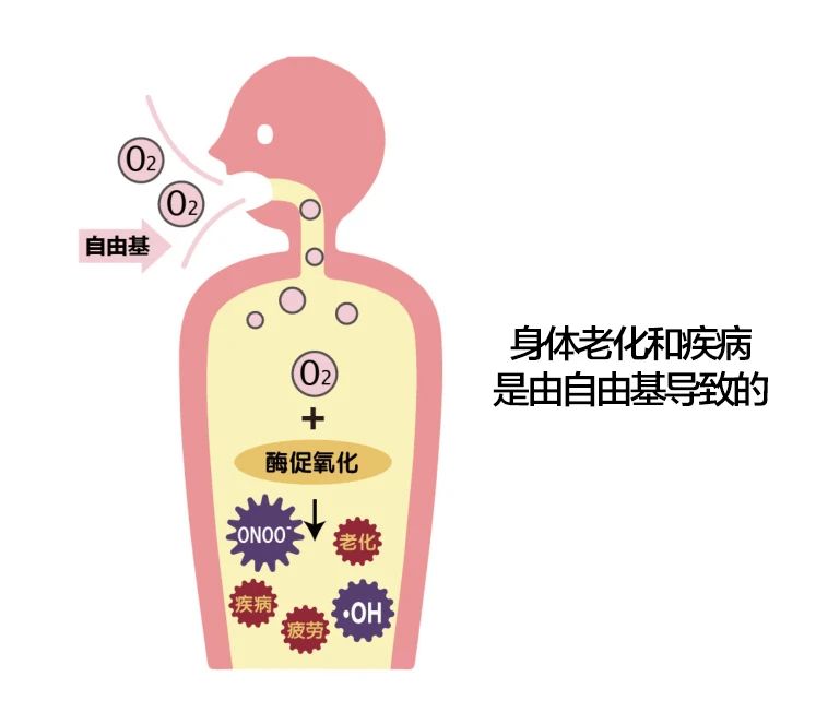 艾诗特南宫电子官网