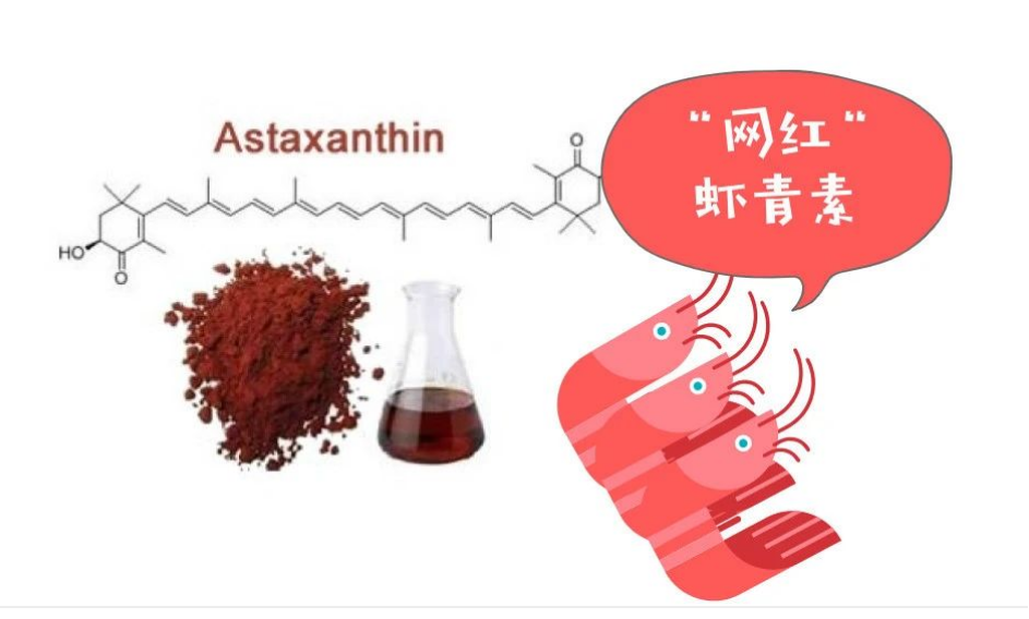 艾诗特南宫电子官网