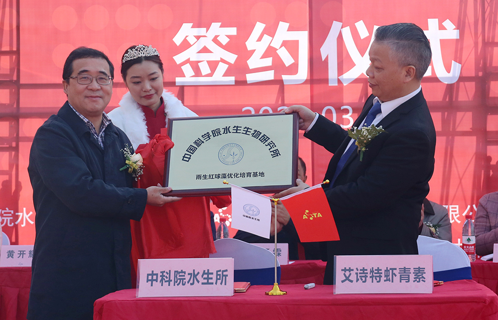 艾诗特南宫电子官网
