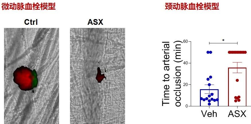 艾诗特南宫电子官网