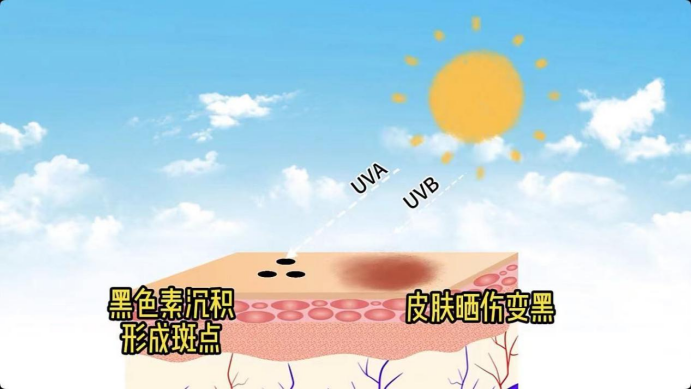 艾诗特南宫电子官网