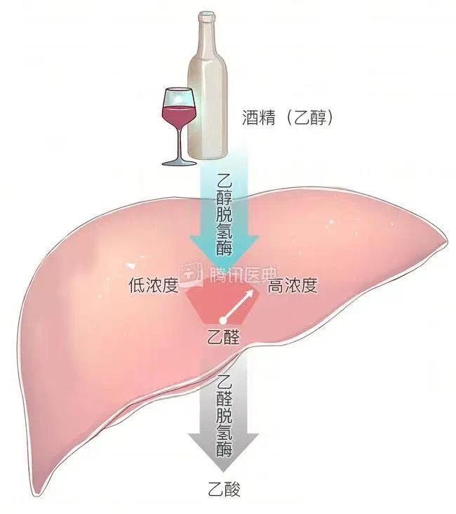 艾诗特南宫电子官网