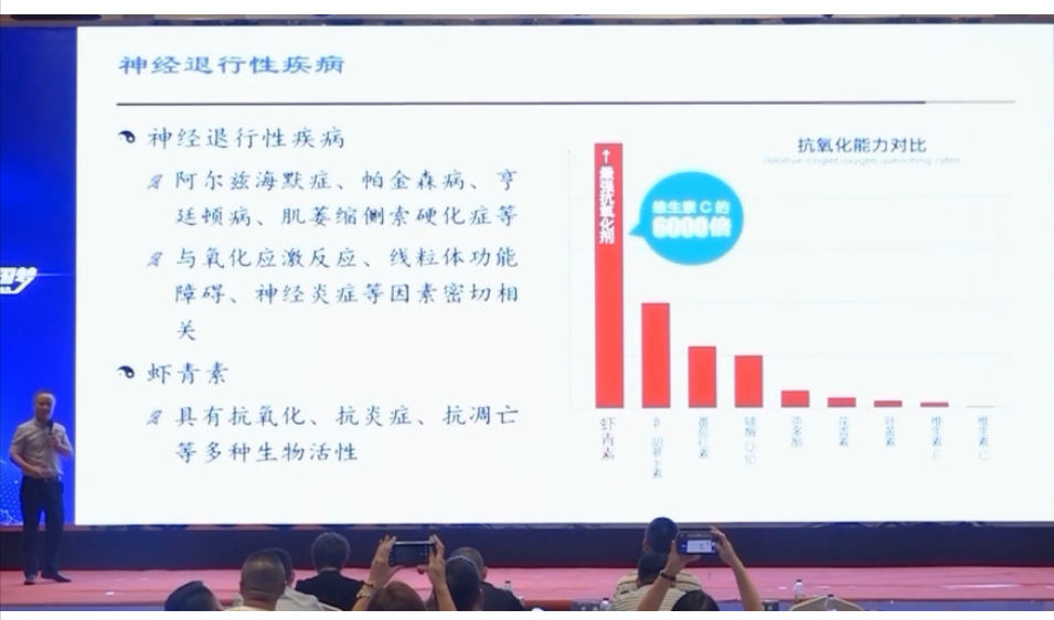 艾诗特南宫电子官网