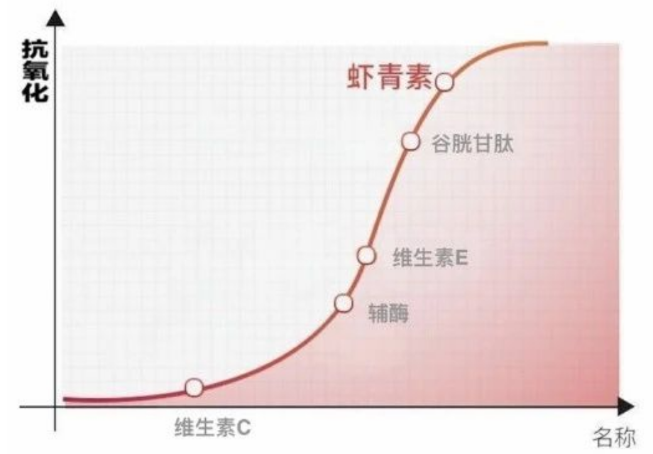艾诗特南宫电子官网