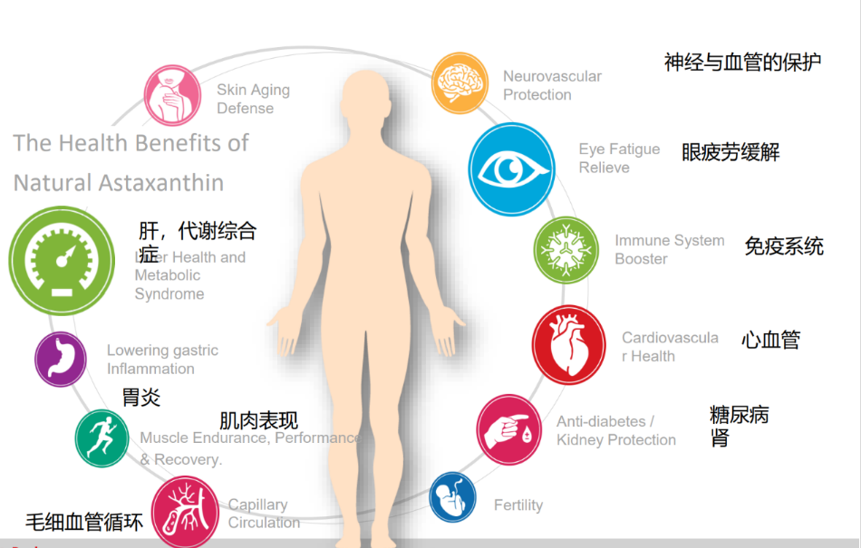 艾诗特南宫电子官网