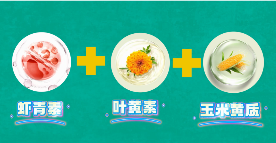 艾诗特南宫电子官网