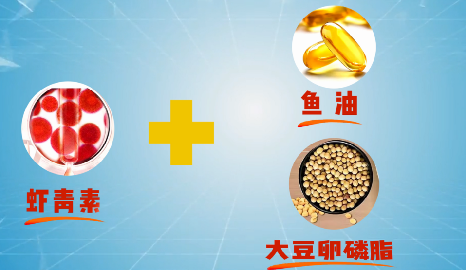 艾诗特南宫电子官网