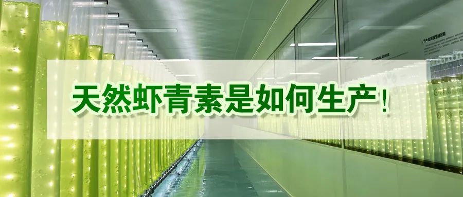 艾诗特南宫电子官网