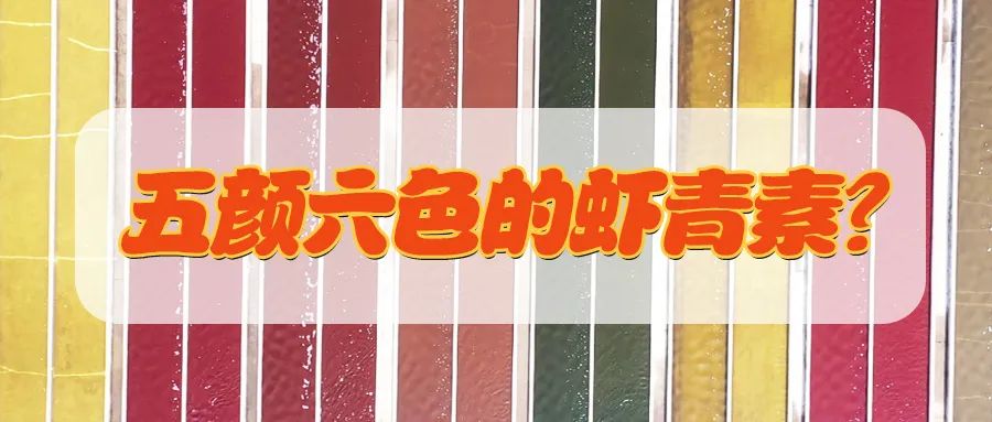 艾诗特南宫电子官网