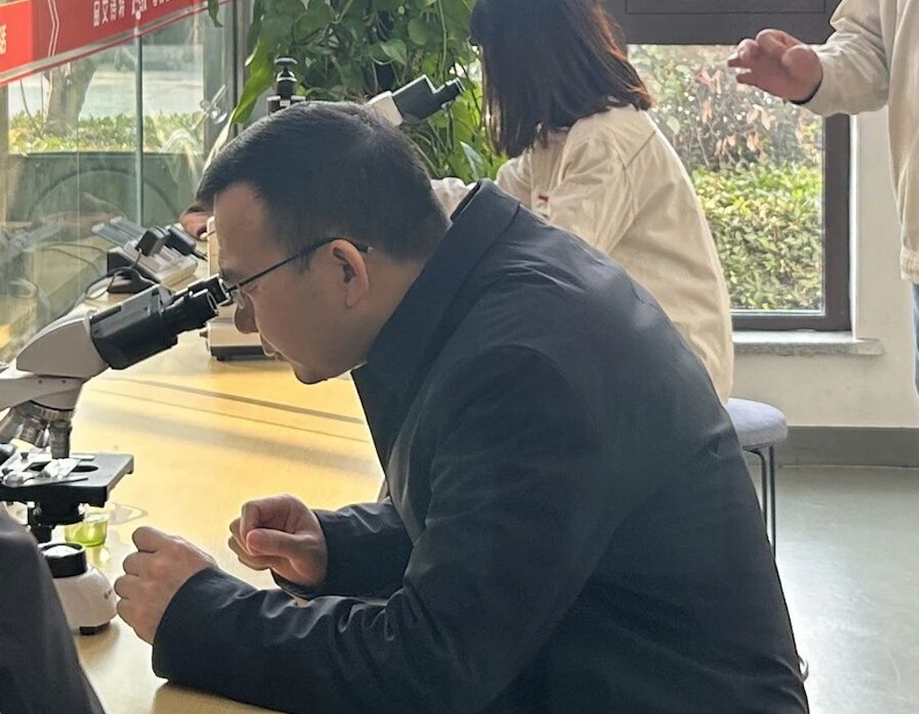 艾诗特南宫电子官网