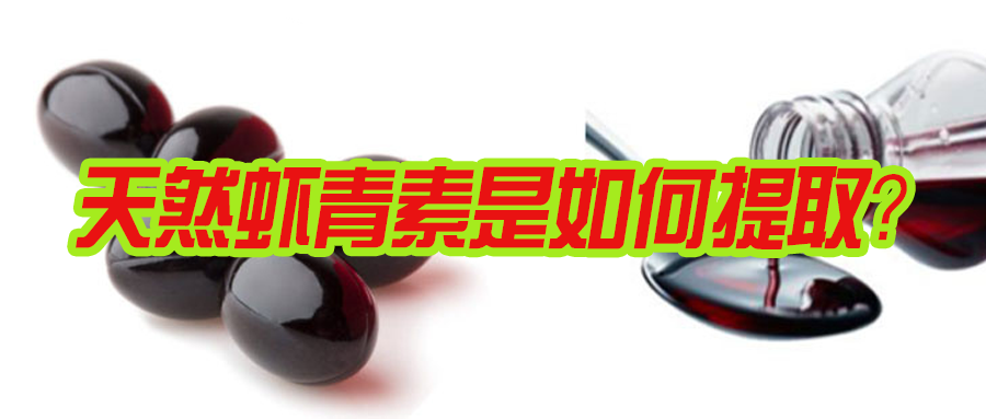 艾诗特南宫电子官网