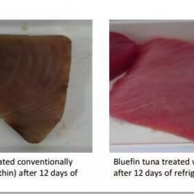 湖北农科院：：南宫电子官网对肉类抗氧化钻研