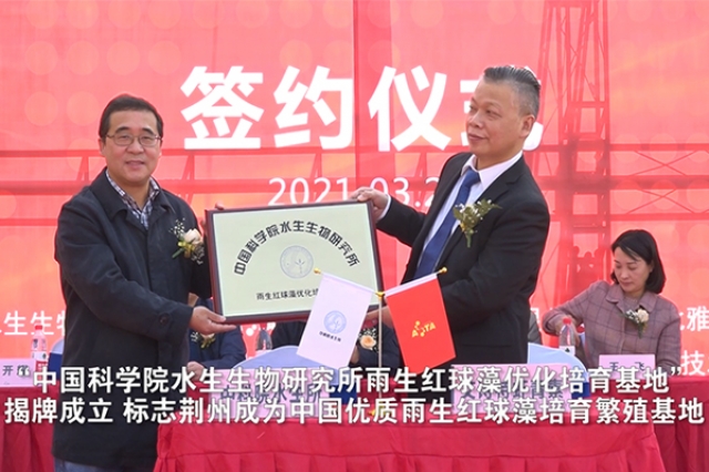 中国科学院水生物钻研所雨生红球藻造就基地